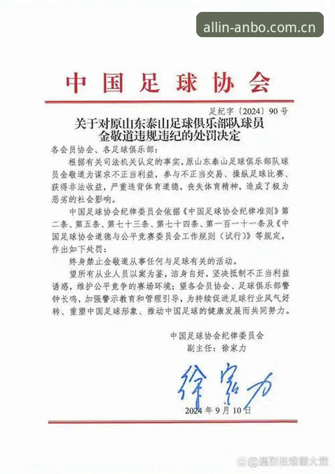 解读足协第三批禁足名单的实用指南——从案例看足球纪律的重要性